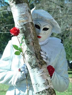 Carnaval vénitien d'Annecy