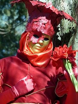 Carnaval vénitien d'Annecy