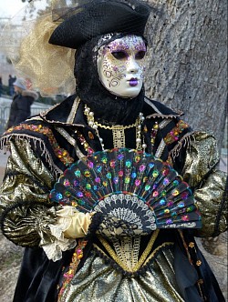Carnaval Vénitien Annecy