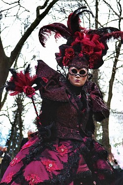 Carnaval Vénitien d'Annecy